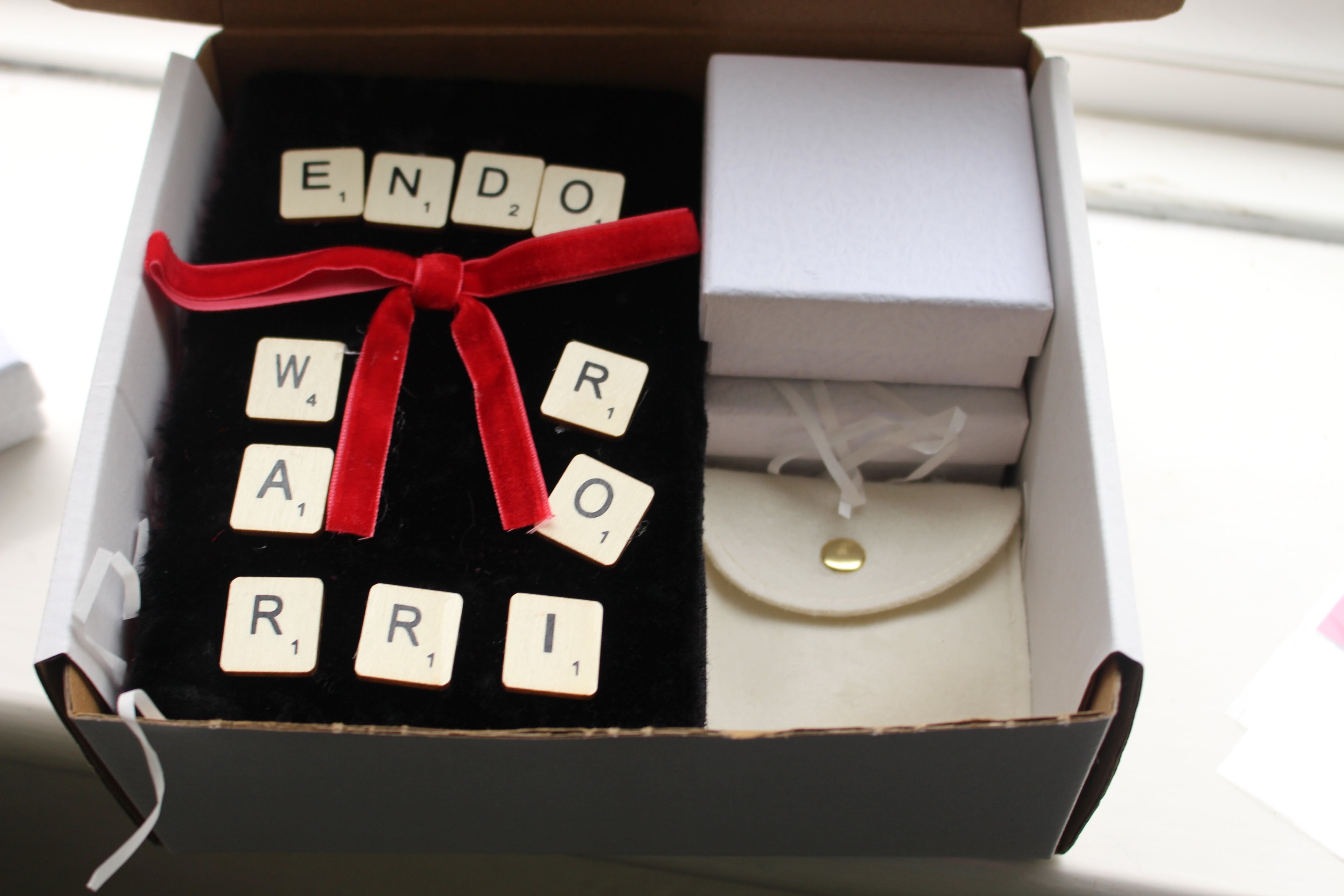 Endo Warrior Self-Care Gift Box pre- order now